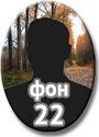 f22.jpg - Металлические овалы