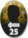 f25.jpg - Металлические овалы