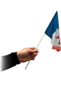 3089a4810ce739f751ced37191f28ac0 466 648 1 216x300 - Флаги