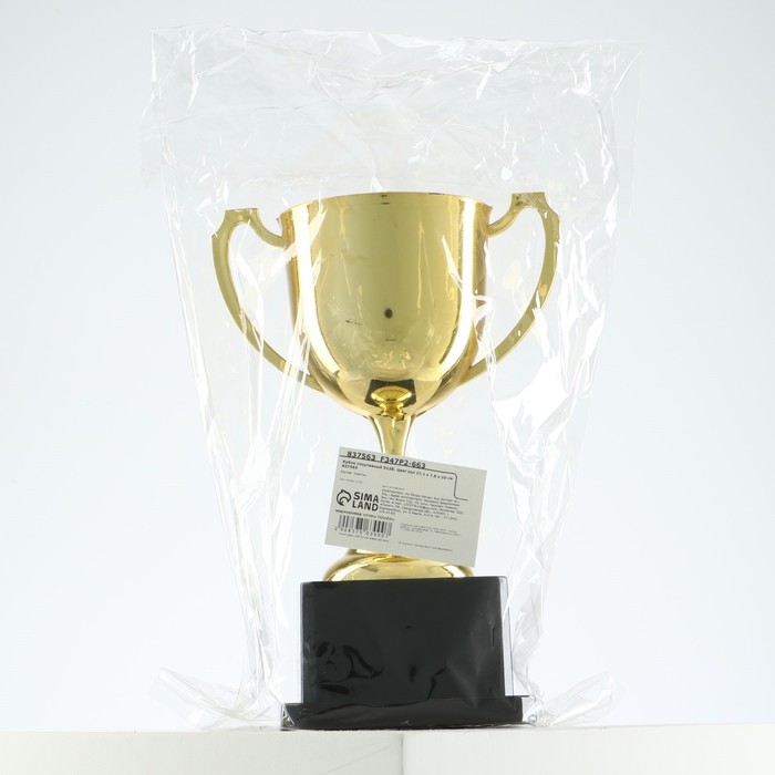 Кубок золото 013 В, наградная фигура, подставка пластик, 18.5 см_7 Кубок золото 013 В, наградная фигура, подставка пластик, 18.5 см, с индивидуальной гравировкой — изображение 7