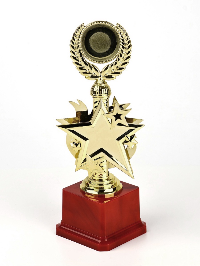 Кубок 192, 2 место, наградная фигура, золото, подставка пластик, 23 см_4 Кубок 192, 2 место, наградная фигура, золото, подставка пластик, 23 см, с индивидуальной гравировкой — изображение 4