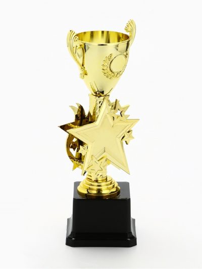 Кубок 193, наградная фигура, золото, подставка пластик, 23 см, с индивидуальной гравировкой