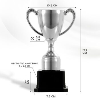Кубок 113, наградная фигура, серебро, подставка пластик, 17.7 см, с индивидуальной гравировкой