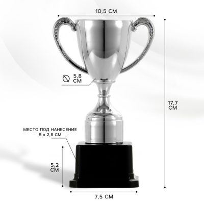 Кубок 113, наградная фигура, серебро, подставка пластик, 17.7 см, с индивидуальной гравировкой