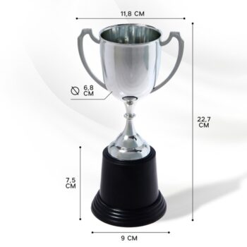 Кубок 036В, наградная фигура, серебро, подставка пластик, 22.7×11.8×9 см, с индивидуальной гравировкой