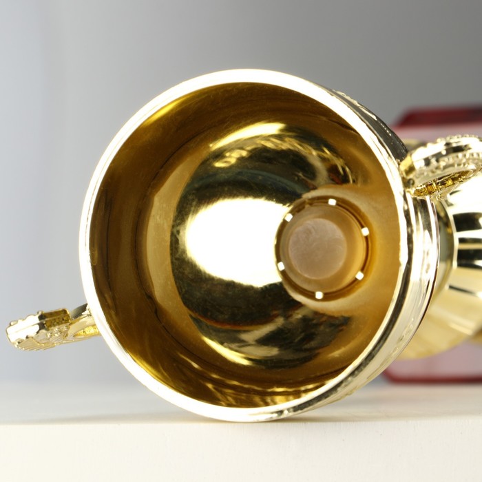 Кубок 042С, наградная фигура, золото, подставка пластик, 26.2×8.7×7.5 см_7 Кубок 042С, наградная фигура, золото, подставка пластик, 26.2×8.7×7.5 см, с индивидуальной гравировкой — изображение 7