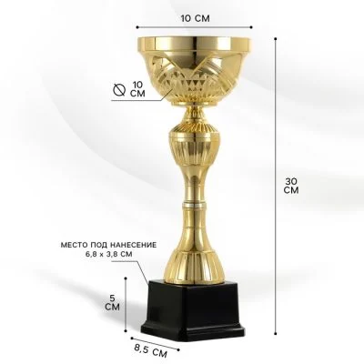 Кубок 134C, наградная фигура, золото, подставка пластик, 30×10×8.5 см, с индивидуальной гравировкой