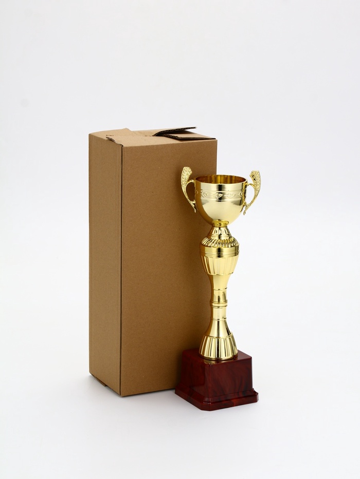 Кубок 042С, наградная фигура, золото, подставка пластик, 26.2×8.7×7.5 см_4 Кубок 042С, наградная фигура, золото, подставка пластик, 26.2×8.7×7.5 см, с индивидуальной гравировкой — изображение 4