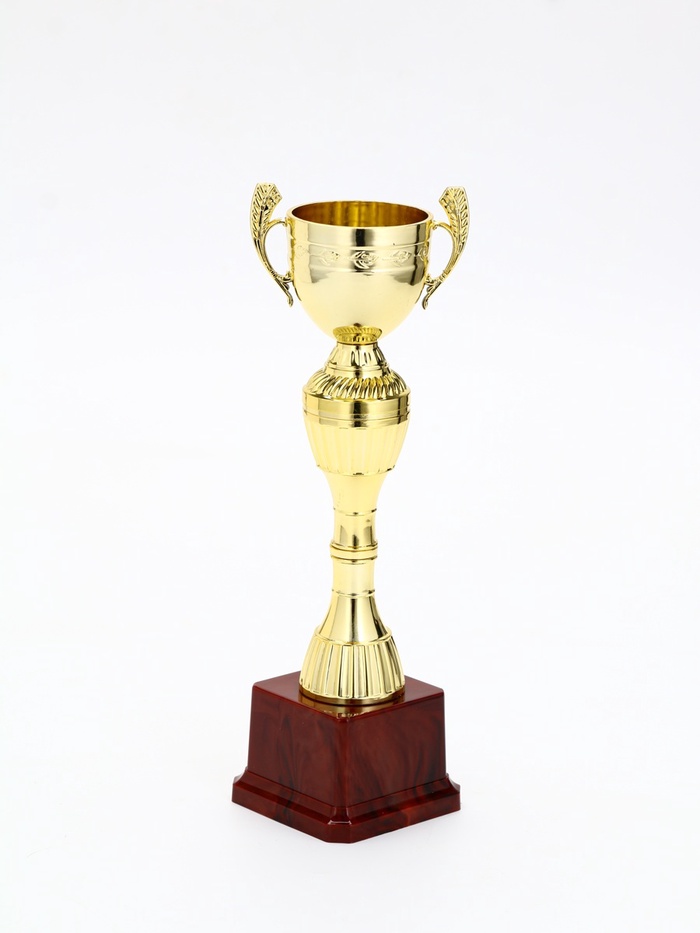 Кубок 042С, наградная фигура, золото, подставка пластик, 26.2×8.7×7.5 см_2 Кубок 042С, наградная фигура, золото, подставка пластик, 26.2×8.7×7.5 см, с индивидуальной гравировкой — изображение 2
