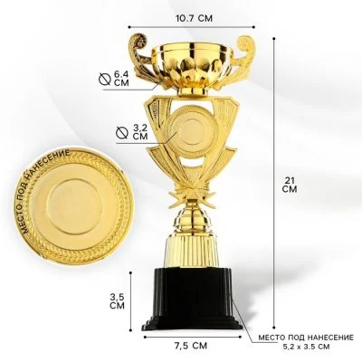 Кубок 182C, наградная фигура, золото, подставка пластик, 21 см, с индивидуальной гравировкой