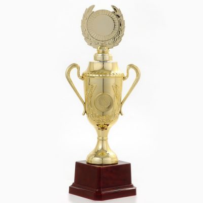 Кубок 088C, наградная фигура, золото, подставка пластик, 23.5×12×6.4 см, с индивидуальной гравировкой