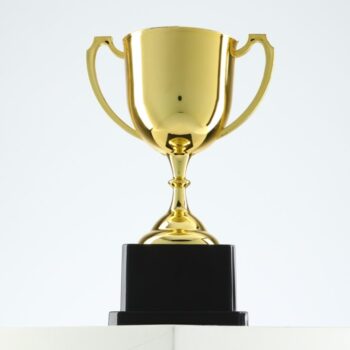 Кубок золото 013 В, наградная фигура, подставка пластик, 18.5 см, с индивидуальной гравировкой