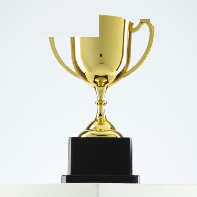 Кубок золото 013 В, наградная фигура, подставка пластик, 18.5 см, с индивидуальной гравировкой