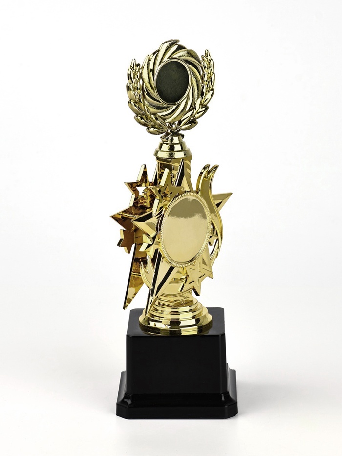 Кубок 192, наградная фигура, золото, подставка пластик, 23 см_2 Кубок 192, наградная фигура, золото, подставка пластик, 23 см, с индивидуальной гравировкой — изображение 2