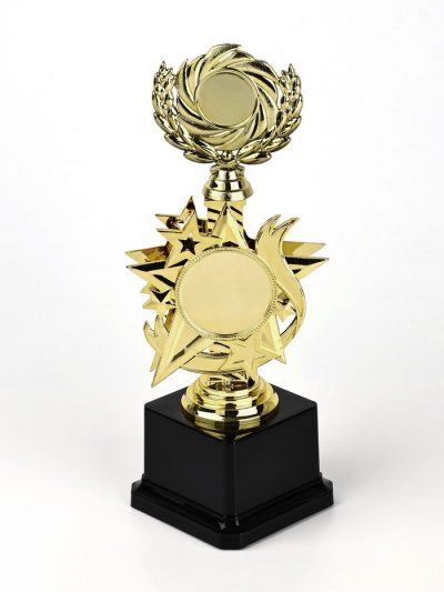 Кубок 192, наградная фигура, золото, подставка пластик, 23 см, с индивидуальной гравировкой