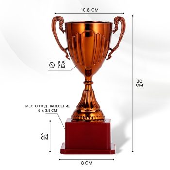Кубок 045, наградная фигура, бронза, подставка пластик, 20×10.6×8 см, с индивидуальной гравировкой