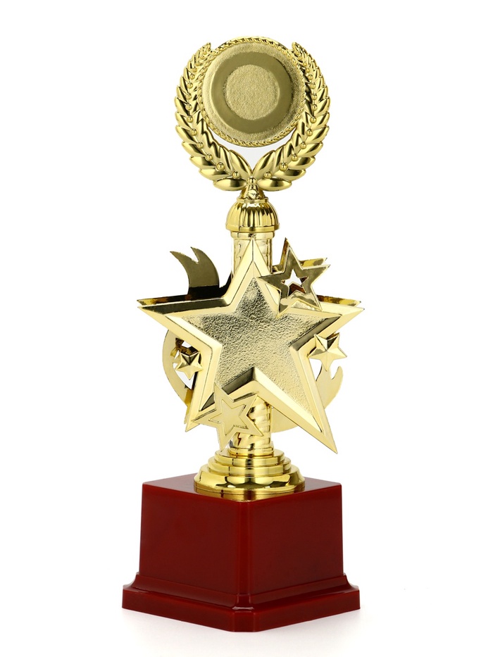 Кубок 192, 1 место, наградная фигура, золото, подставка пластик, 23 см_3 Кубок 192, 1 место, наградная фигура, золото, подставка пластик, 23 см, с индивидуальной гравировкой — изображение 3