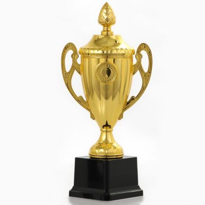 Кубок 084, наградная фигура, золото, подставка пластик, 25 см, с индивидуальной гравировкой