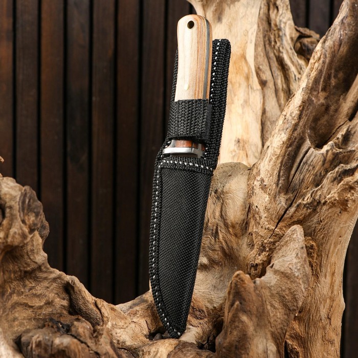 Нож охотничий «Атли» 16 см, клинок 80 мм/2.8 мм, дерево_4 Нож охотничий «Атли» 16 см, клинок 80 мм/2.8 мм, дерево, с индивидуальной гравировкой — изображение 5