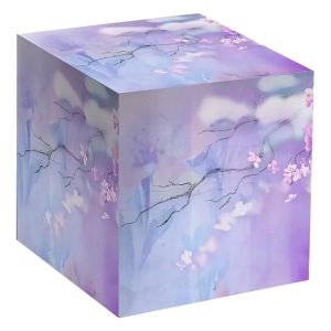 Коробка цветная, подарочная для стандартных кружек (Сакура)